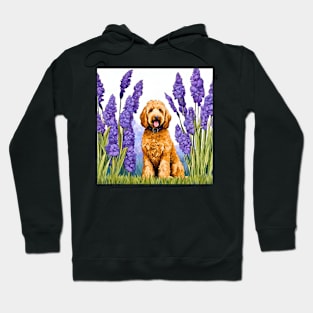 Goldendoodle Amongst Irises Hoodie